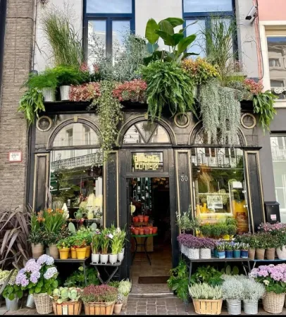 Bloemen van Cornelis